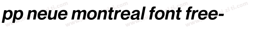 pp neue montreal font free字体转换